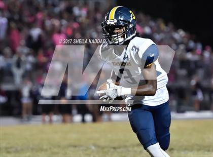 Thumbnail 1 in Steinbrenner @ Palm Harbor University photogallery.
