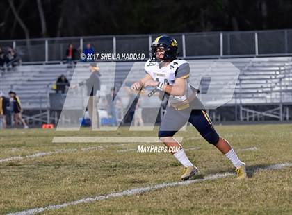 Thumbnail 3 in Steinbrenner @ Palm Harbor University photogallery.