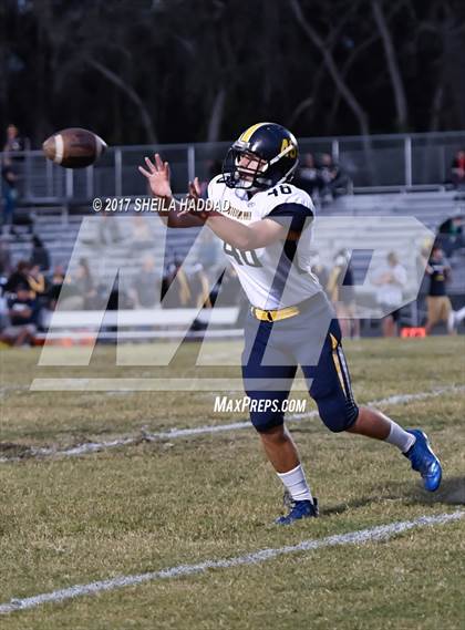 Thumbnail 2 in Steinbrenner @ Palm Harbor University photogallery.