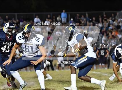 Thumbnail 2 in Steinbrenner @ Palm Harbor University photogallery.