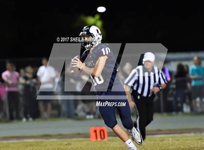 Thumbnail 3 in Steinbrenner @ Palm Harbor University photogallery.