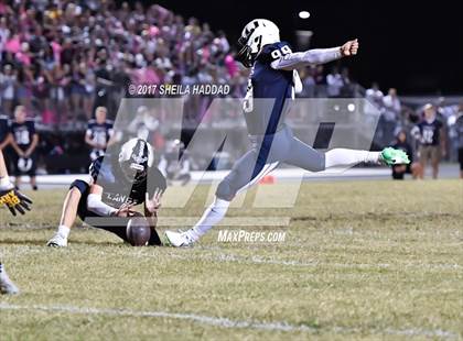 Thumbnail 1 in Steinbrenner @ Palm Harbor University photogallery.