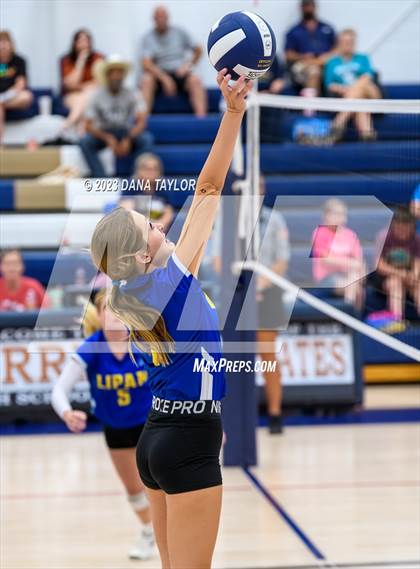 Thumbnail 3 in Lipan @ Perrin-Whitt photogallery.