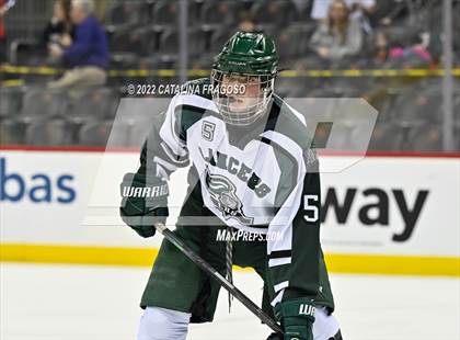 Thumbnail 2 in Ridge vs. Livingston (NJSIAA Public A State Final)  photogallery.