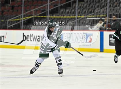 Thumbnail 3 in Ridge vs. Livingston (NJSIAA Public A State Final)  photogallery.