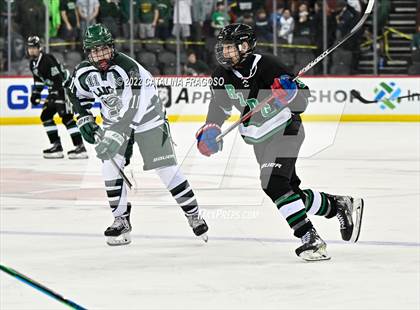 Thumbnail 2 in Ridge vs. Livingston (NJSIAA Public A State Final)  photogallery.