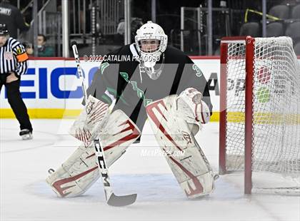 Thumbnail 2 in Ridge vs. Livingston (NJSIAA Public A State Final)  photogallery.
