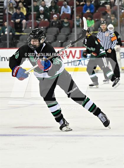 Thumbnail 1 in Ridge vs. Livingston (NJSIAA Public A State Final)  photogallery.
