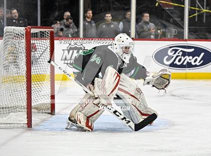 Thumbnail 1 in Ridge vs. Livingston (NJSIAA Public A State Final)  photogallery.