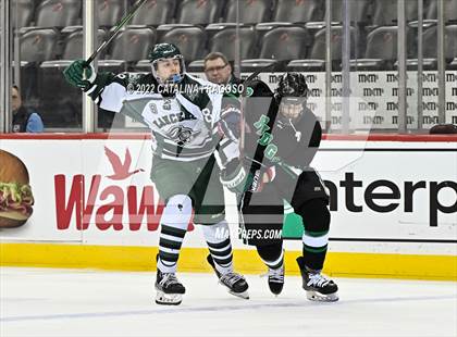 Thumbnail 1 in Ridge vs. Livingston (NJSIAA Public A State Final)  photogallery.