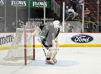 Thumbnail 1 in Ridge vs. Livingston (NJSIAA Public A State Final)  photogallery.