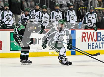 Thumbnail 2 in Ridge vs. Livingston (NJSIAA Public A State Final)  photogallery.