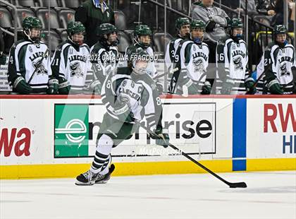 Thumbnail 2 in Ridge vs. Livingston (NJSIAA Public A State Final)  photogallery.