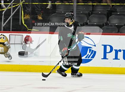 Thumbnail 1 in Ridge vs. Livingston (NJSIAA Public A State Final)  photogallery.
