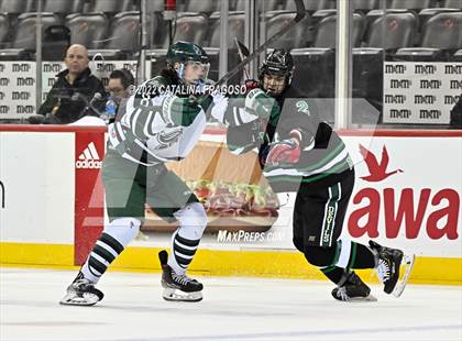 Thumbnail 2 in Ridge vs. Livingston (NJSIAA Public A State Final)  photogallery.