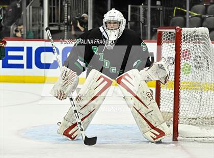 Thumbnail 1 in Ridge vs. Livingston (NJSIAA Public A State Final)  photogallery.