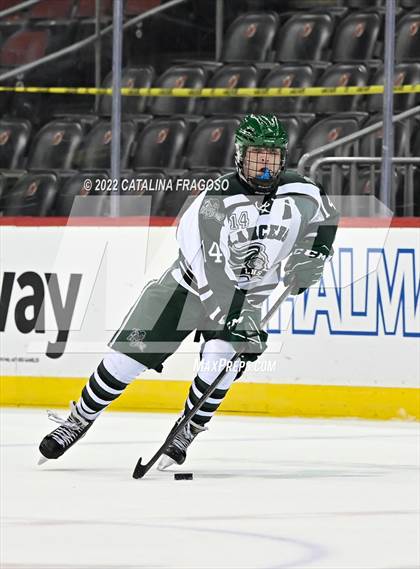 Thumbnail 1 in Ridge vs. Livingston (NJSIAA Public A State Final)  photogallery.