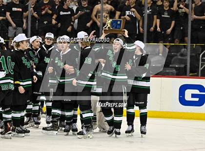 Thumbnail 2 in Ridge vs. Livingston (NJSIAA Public A State Final)  photogallery.