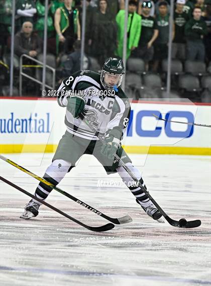 Thumbnail 3 in Ridge vs. Livingston (NJSIAA Public A State Final)  photogallery.