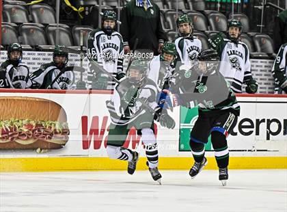 Thumbnail 1 in Ridge vs. Livingston (NJSIAA Public A State Final)  photogallery.