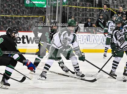Thumbnail 1 in Ridge vs. Livingston (NJSIAA Public A State Final)  photogallery.