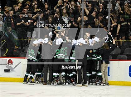 Thumbnail 3 in Ridge vs. Livingston (NJSIAA Public A State Final)  photogallery.