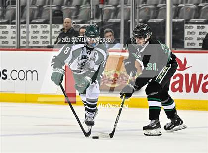 Thumbnail 2 in Ridge vs. Livingston (NJSIAA Public A State Final)  photogallery.