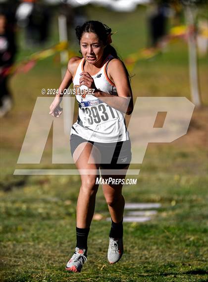 Thumbnail 3 in Diamond Ranch vs Don Lugo vs Chaffey vs Montclair vs Ontario ( Mt. Baldy League Finals) photogallery.