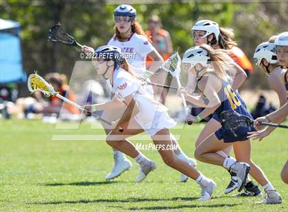 Thumbnail 1 in Steinbrenner vs Manatee photogallery.