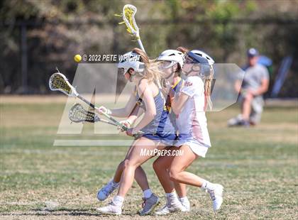 Thumbnail 1 in Steinbrenner vs Manatee photogallery.