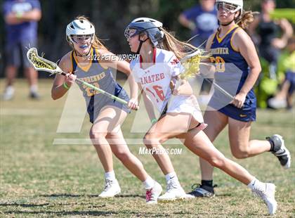 Thumbnail 1 in Steinbrenner vs Manatee photogallery.
