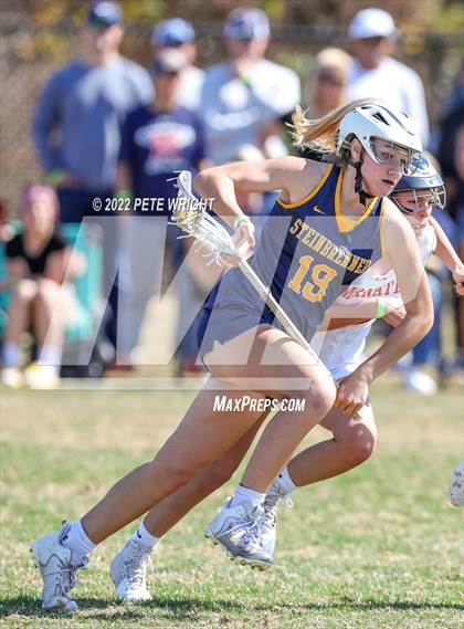 Thumbnail 1 in Steinbrenner vs Manatee photogallery.
