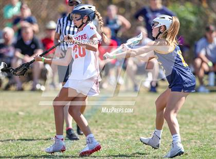 Thumbnail 2 in Steinbrenner vs Manatee photogallery.