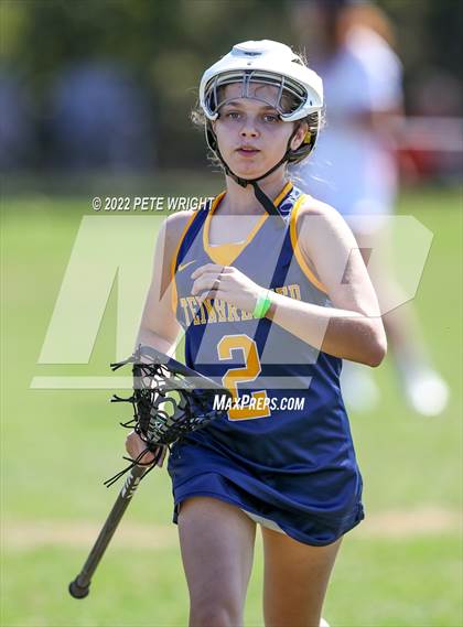 Thumbnail 1 in Steinbrenner vs Manatee photogallery.