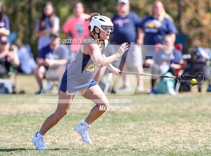 Thumbnail 1 in Steinbrenner vs Manatee photogallery.