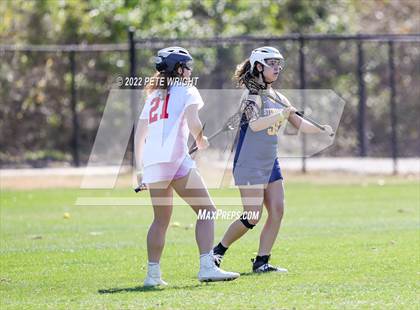 Thumbnail 1 in Steinbrenner vs Manatee photogallery.