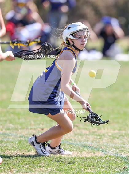 Thumbnail 1 in Steinbrenner vs Manatee photogallery.