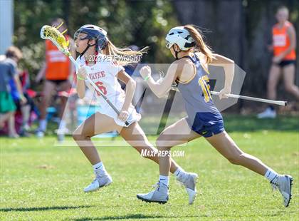 Thumbnail 2 in Steinbrenner vs Manatee photogallery.