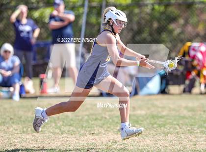 Thumbnail 2 in Steinbrenner vs Manatee photogallery.