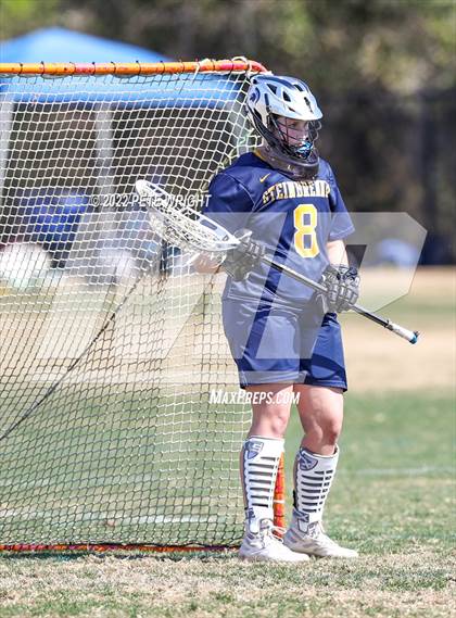 Thumbnail 2 in Steinbrenner vs Manatee photogallery.