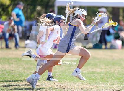 Thumbnail 2 in Steinbrenner vs Manatee photogallery.