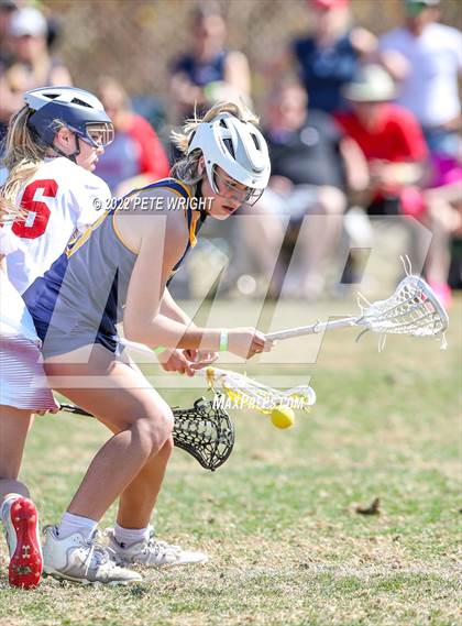 Thumbnail 2 in Steinbrenner vs Manatee photogallery.