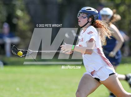 Thumbnail 1 in Steinbrenner vs Manatee photogallery.