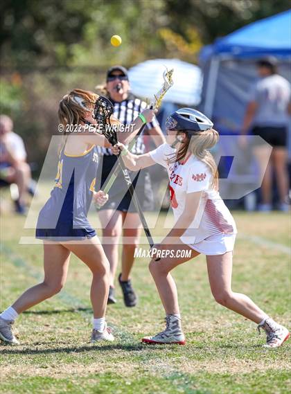 Thumbnail 2 in Steinbrenner vs Manatee photogallery.