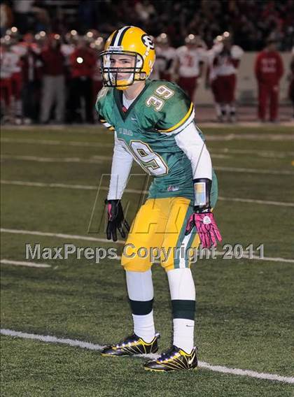 Thumbnail 1 in Mentor vs. St. Edward (OHSAA D1 Regional Quarterfinal) photogallery.