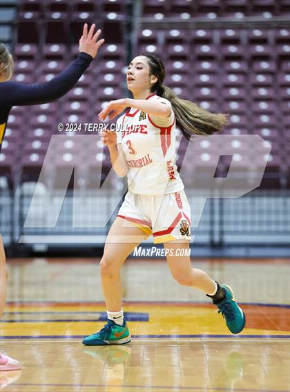 Thumbnail 3 in Summit Academy vs. Judge Memorial Catholic (UHSAA 3A Consolation) photogallery.
