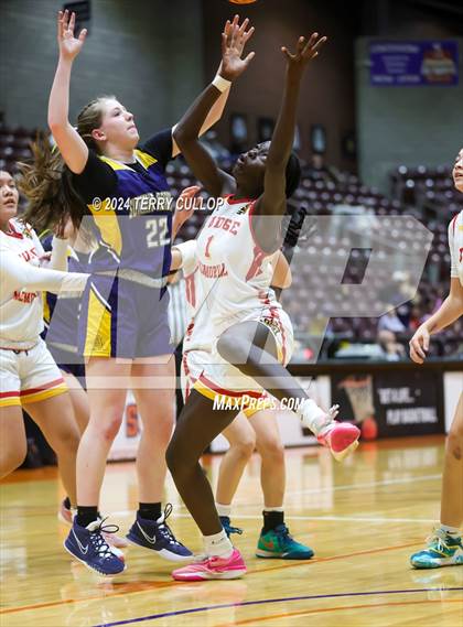 Thumbnail 1 in Summit Academy vs. Judge Memorial Catholic (UHSAA 3A Consolation) photogallery.