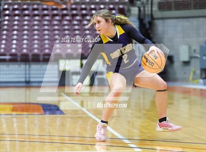 Thumbnail 1 in Summit Academy vs. Judge Memorial Catholic (UHSAA 3A Consolation) photogallery.