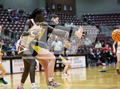 Thumbnail 3 in Summit Academy vs. Judge Memorial Catholic (UHSAA 3A Consolation) photogallery.