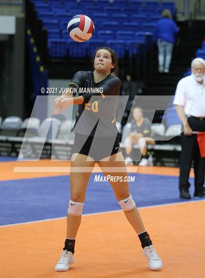 Thumbnail 2 in Hackett vs. Paris (AAA 3A Final) photogallery.